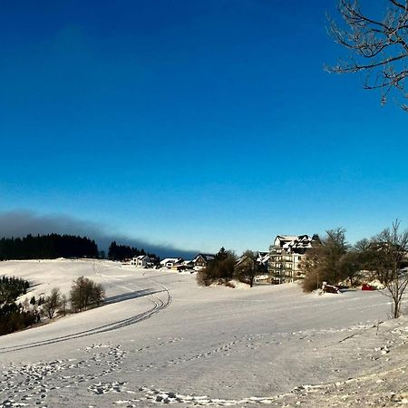 Astenblick Apartments Winterberg With Sauna Экстерьер фото