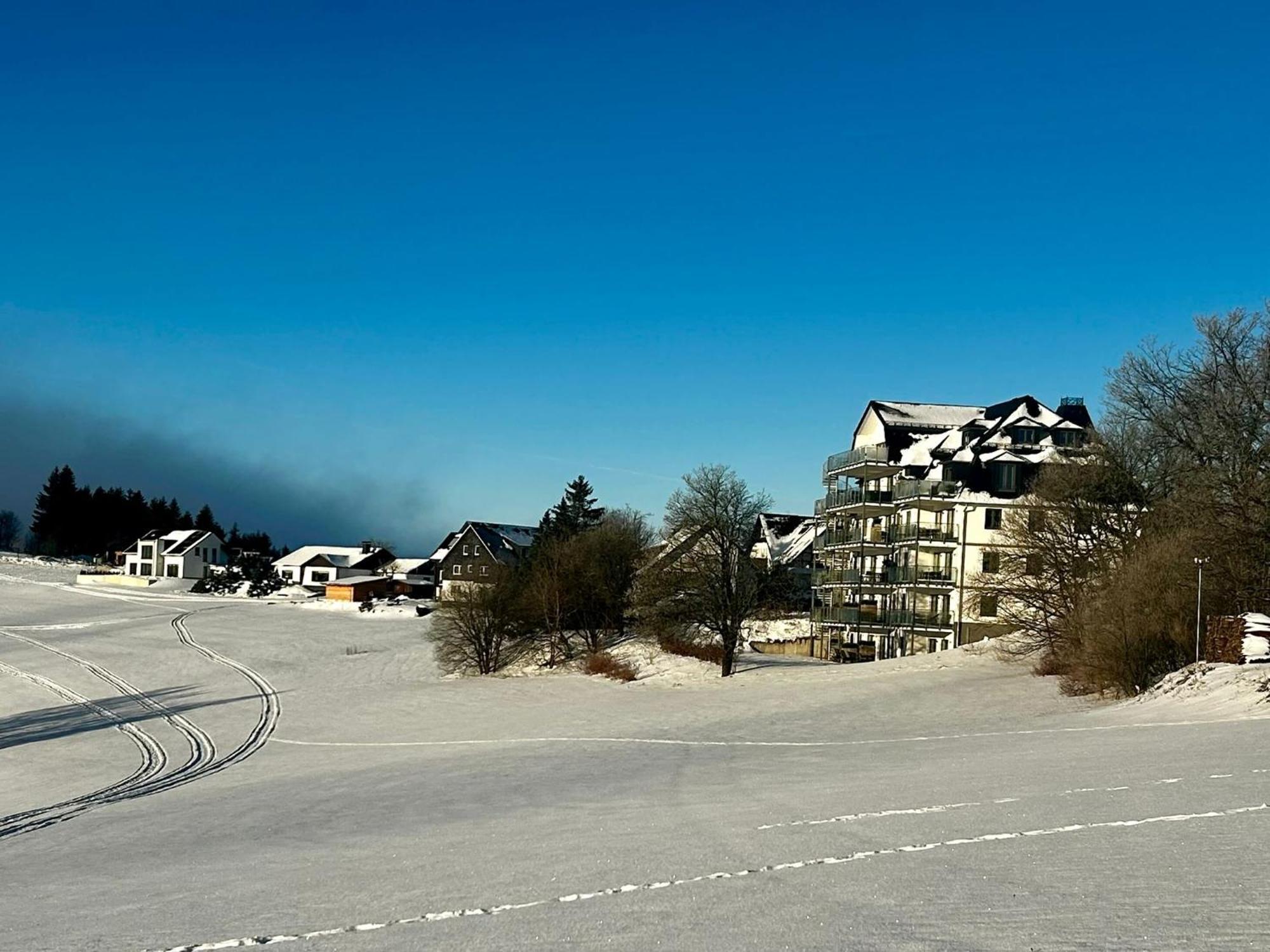 Astenblick Apartments Winterberg With Sauna Экстерьер фото