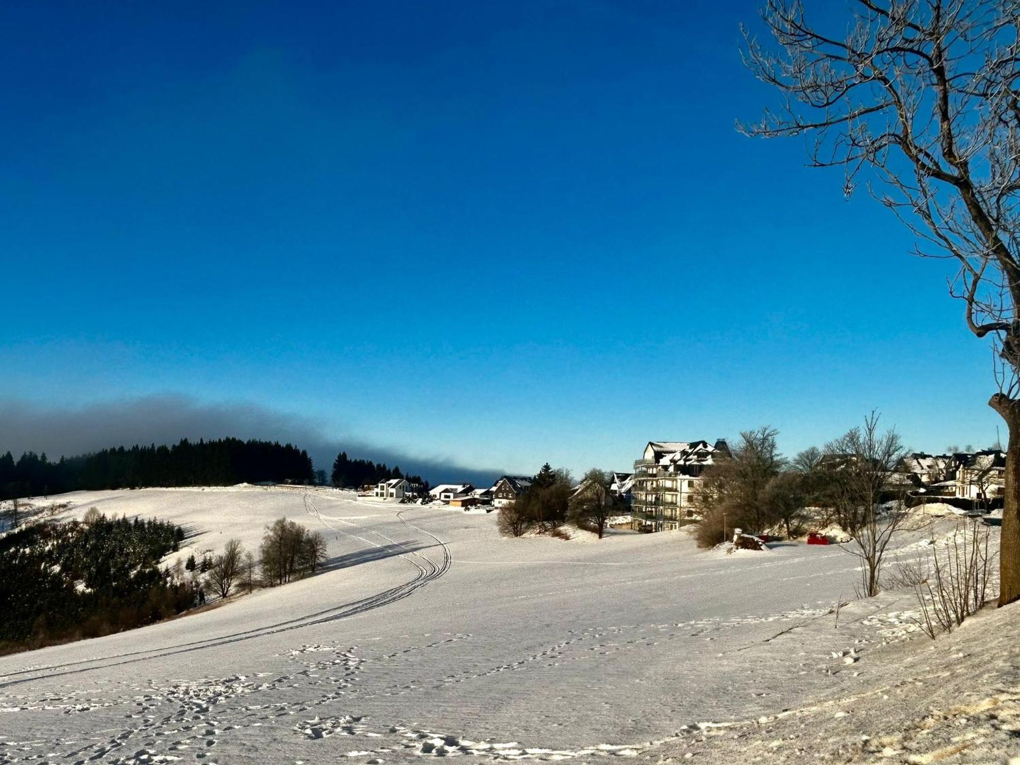 Astenblick Apartments Winterberg With Sauna Экстерьер фото